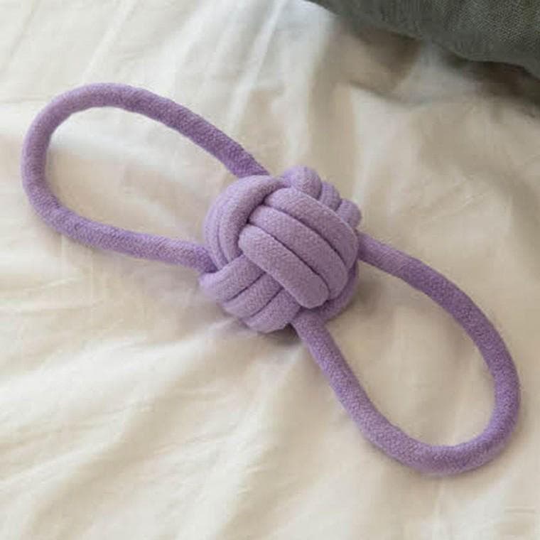 장난감 퍼플 강아지 터그놀이 1P 치석관리 플라잉볼