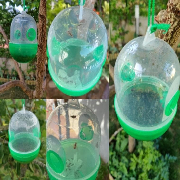 포충기 말벌포획트랩 해충트랩 곤충감옥 나무 정원 트랩